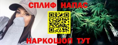 ГАЛЛЮЦИНОГЕННЫЕ ГРИБЫ Обь